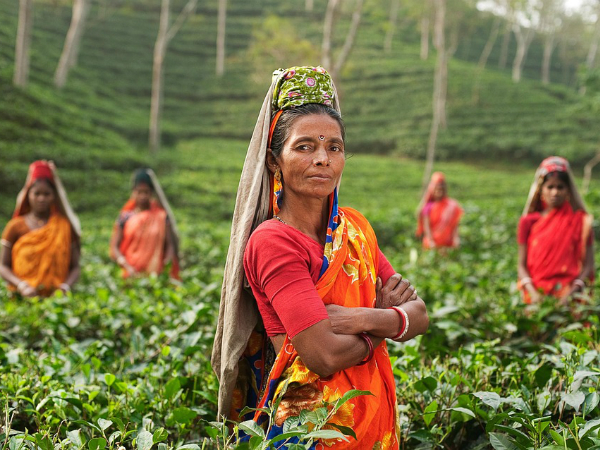 Mujeres en un campo, en La India.