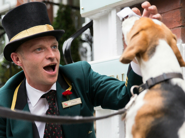 Un perro será espléndidamente atendido en el The Milestone Hotel, de Londres.