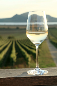 Hubo épocas que Rioja producía más vinos blancos que tintos.