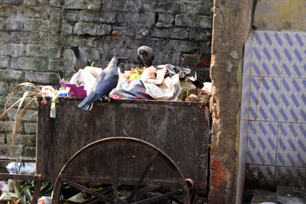 Suciedad y pobreza en Calcuta