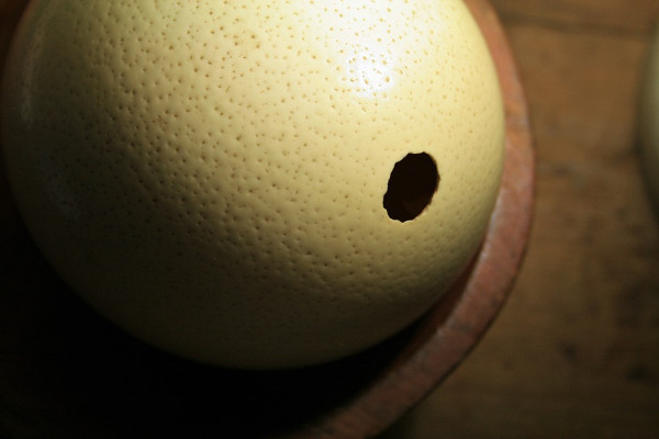 Un enorme huevo de avestruz.