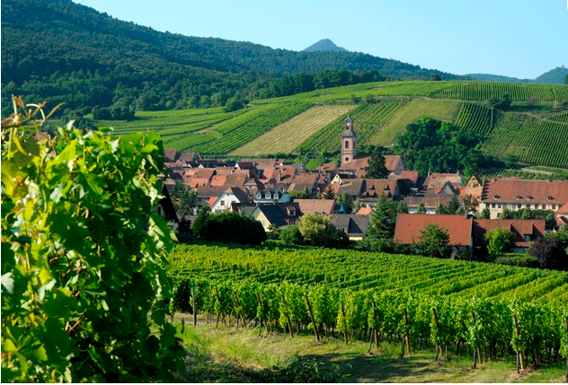 Riquewihr pertenece a la Ruta de los Vinos y es una parada imprescindible ©tourisme-alsace