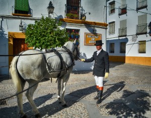 Transporte para turistas Córdoba en Otoño