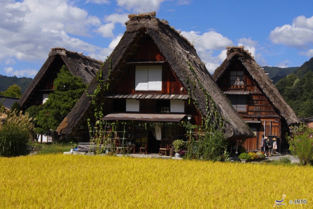 Sus casas tradicionales son del estilo gassho-zukuri, que significa literalmente "como manos en oración". Foto: Copyright JNTO.