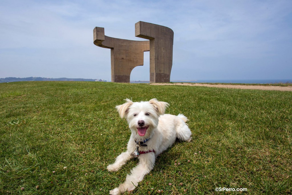 En Gijón, un buen lugar para hacer correr a nuestro can es el Cerro de Santa Catalina junto a la escultura de hormigón  de Eduardo Chillida. Foto: SrPerro